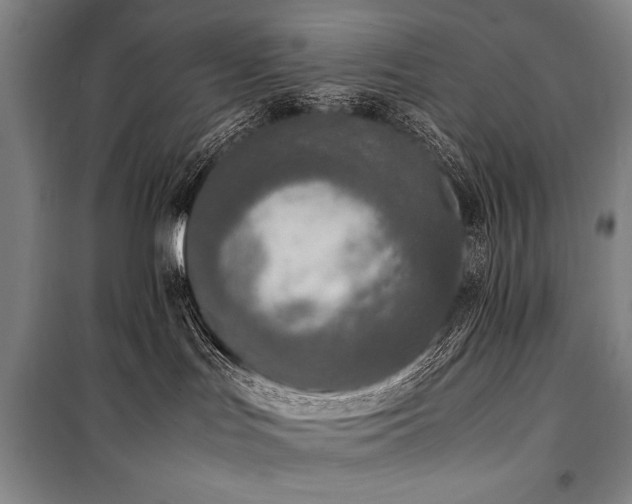 X0000101220047200806271458