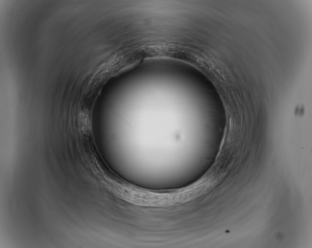 X0000101220048200806271458
