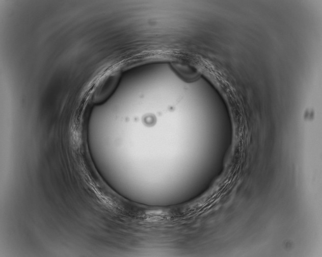 X0000101220050200806271457