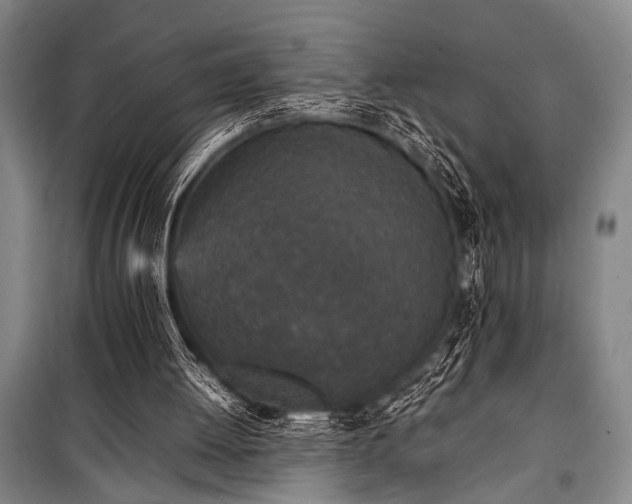 X0000101220052200806271457