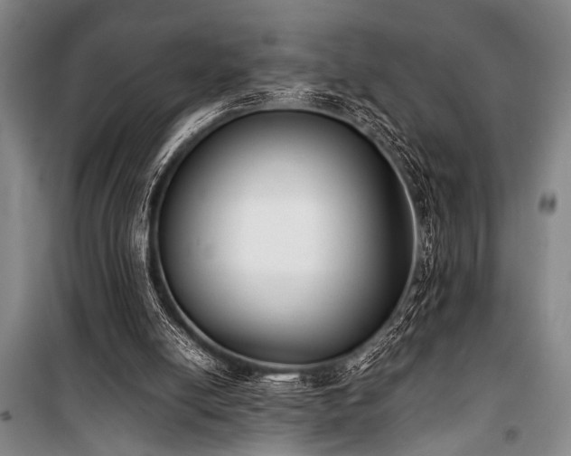 X0000101220054200806271457