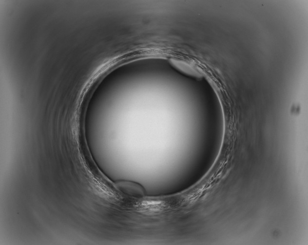 X0000101220055200806271457