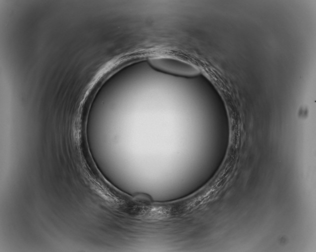 X0000101220056200806271457