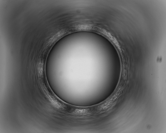 X0000101220057200806271457