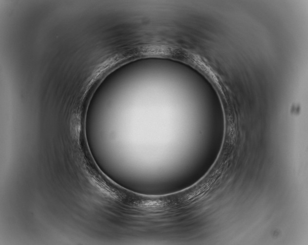 X0000101220059200806271457