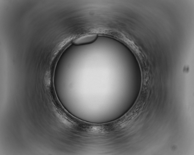 X0000101220060200806271457