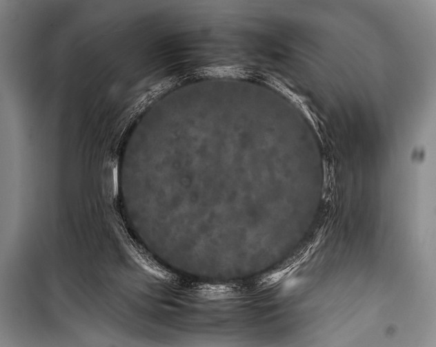 X0000101220061200806271457