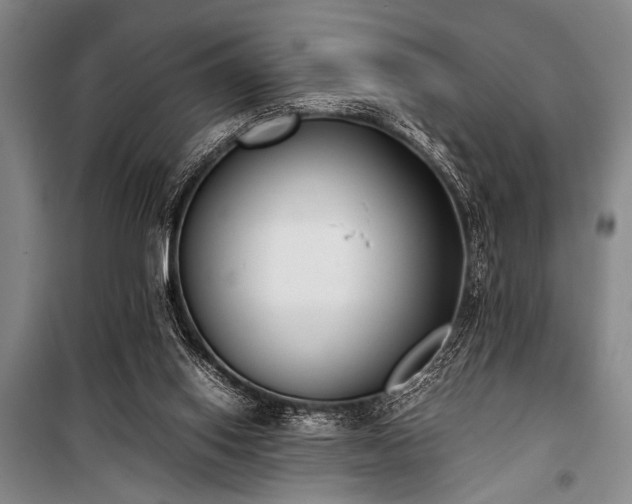 X0000101220062200806271457