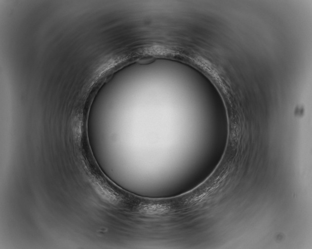 X0000101220063200806271457