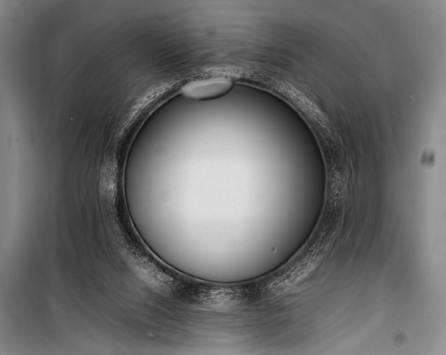 X0000101220064200806271457