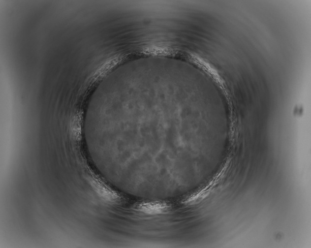 X0000101220065200806271457