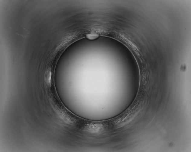 X0000101220067200806271457