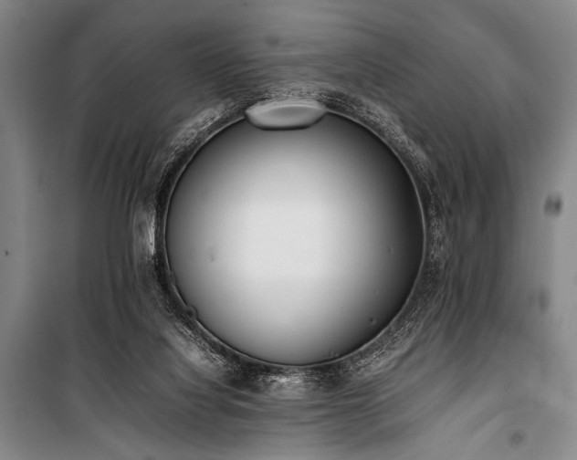 X0000101220068200806271457