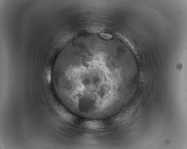 X0000101220069200806271457