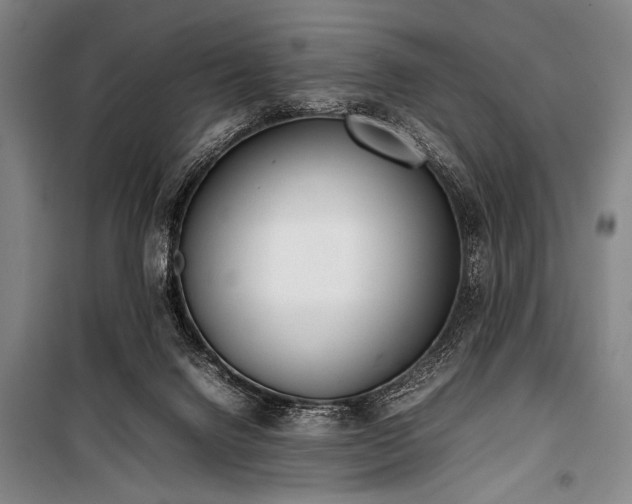X0000101220072200806271457