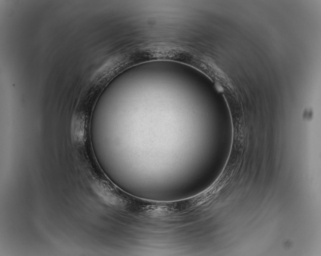X0000101220074200806271457
