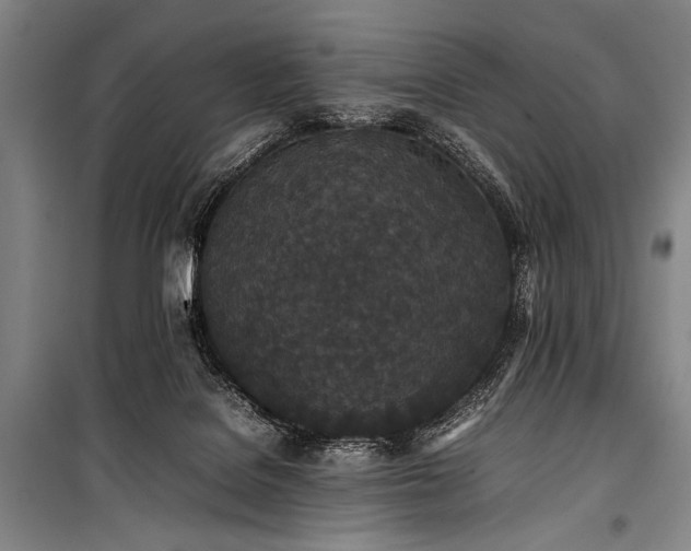 X0000101220076200806271457