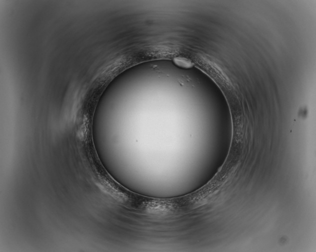 X0000101220077200806271457