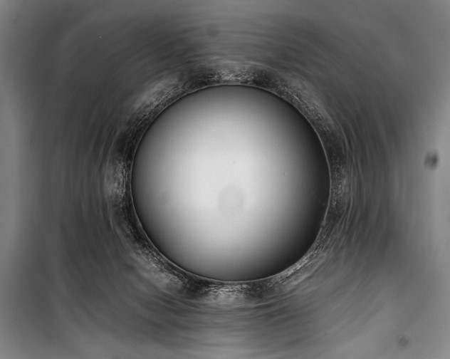 X0000101220078200806271457