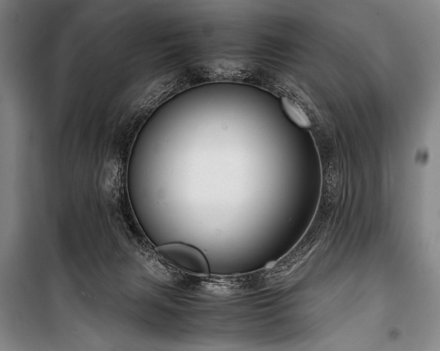 X0000101220079200806271457