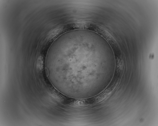 X0000101220080200806271457