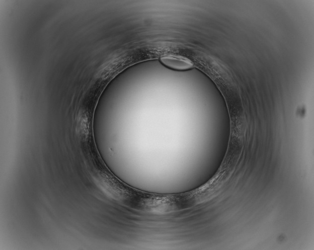 X0000101220086200806271457
