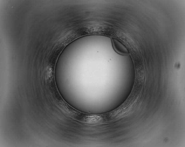 X0000101220087200806271457