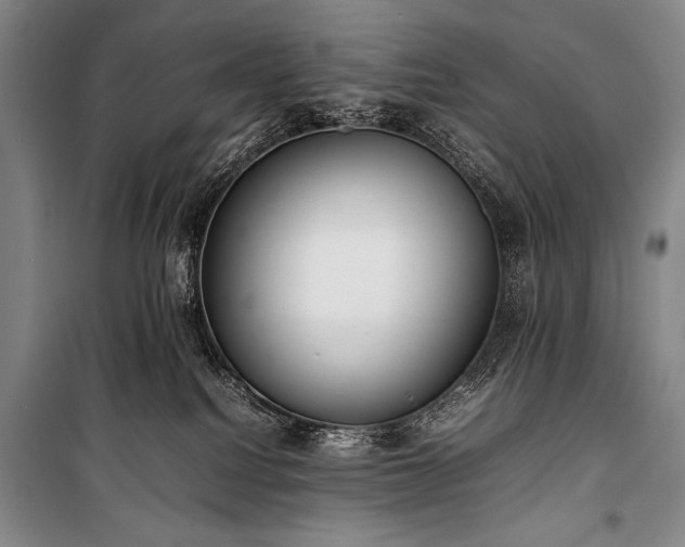 X0000101220088200806271457