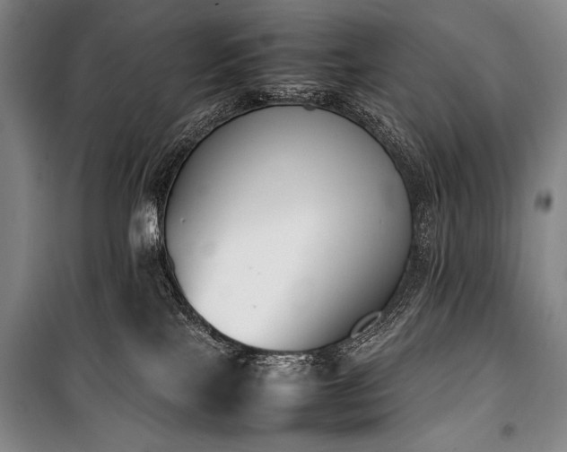 X0000101220089200806271457
