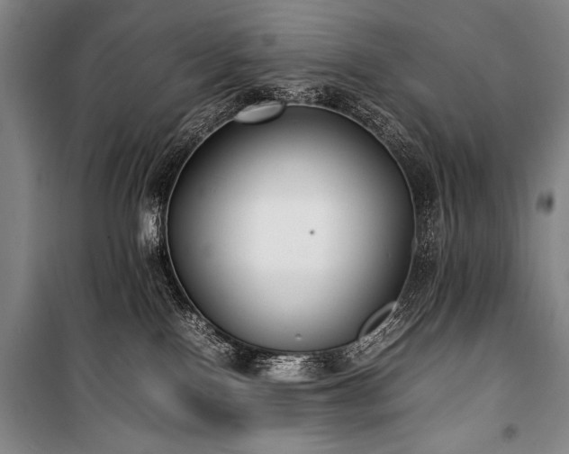 X0000101220090200806271458