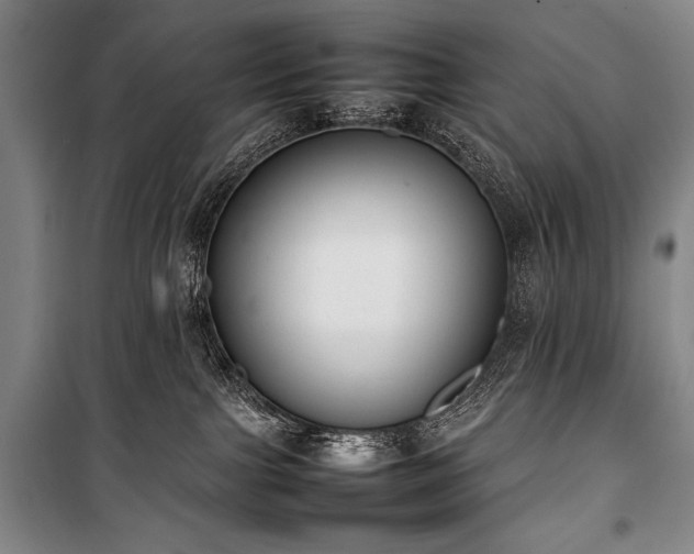X0000101220091200806271458