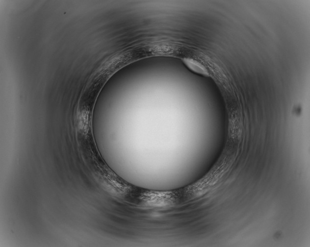 X0000101220093200806271458