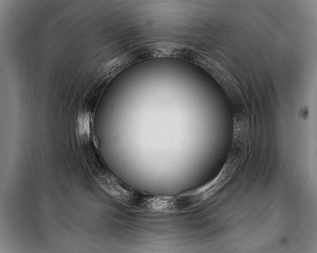 X0000101220094200806271458