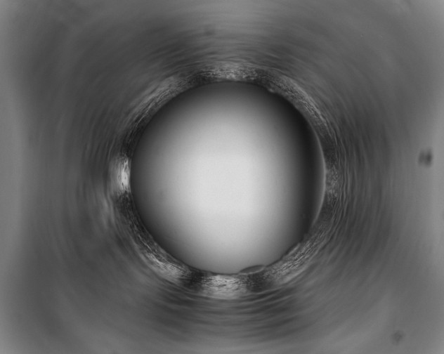 X0000101220095200806271458