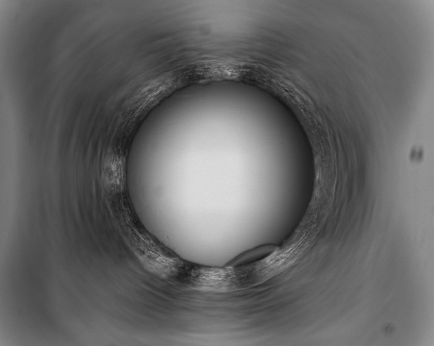 X0000101220096200806271458