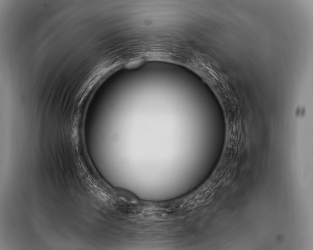 X0000101220098200806271457