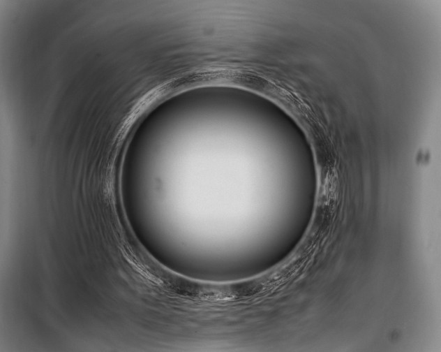 X0000101220099200806271457