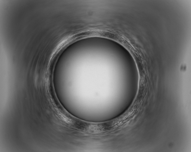 X0000101220101200806271457