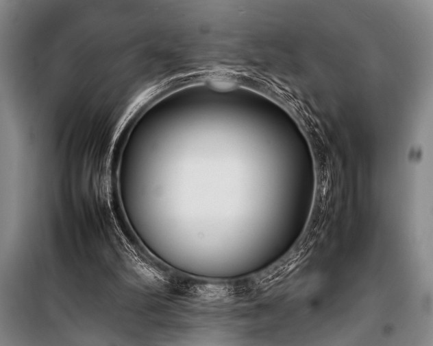 X0000101220102200806271457