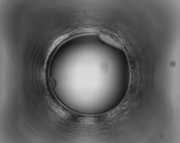 X0000101220104200806271457