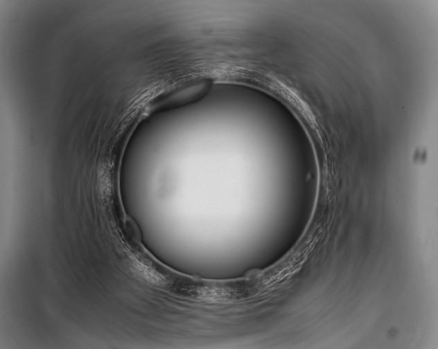 X0000101220105200806271457