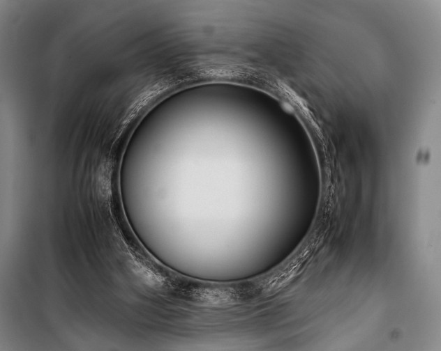 X0000101220106200806271457