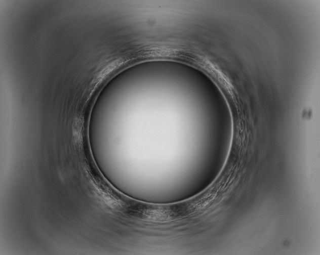 X0000101220107200806271457