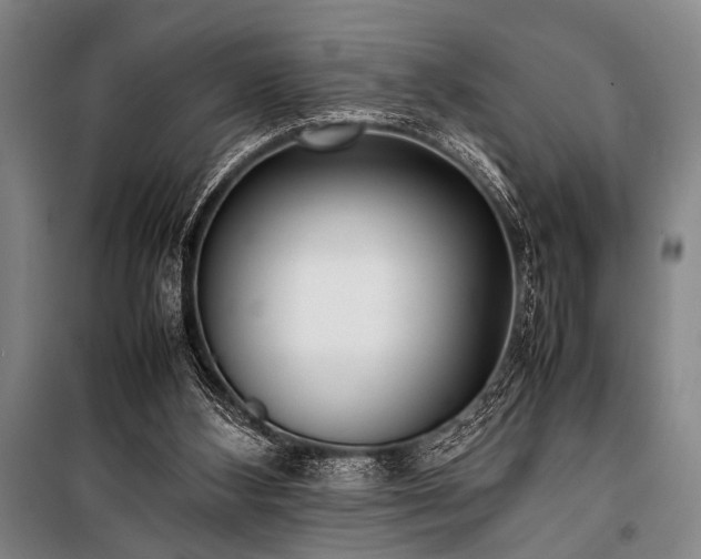 X0000101220108200806271457