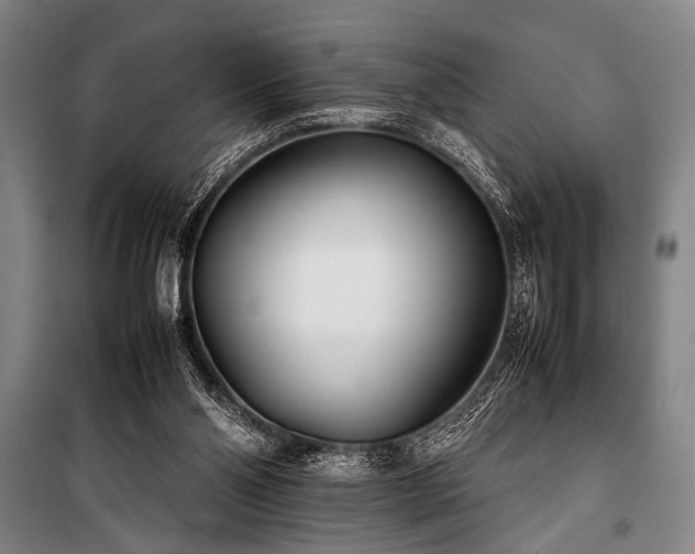 X0000101220110200806271457