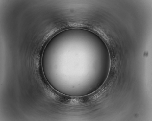 X0000101220111200806271457