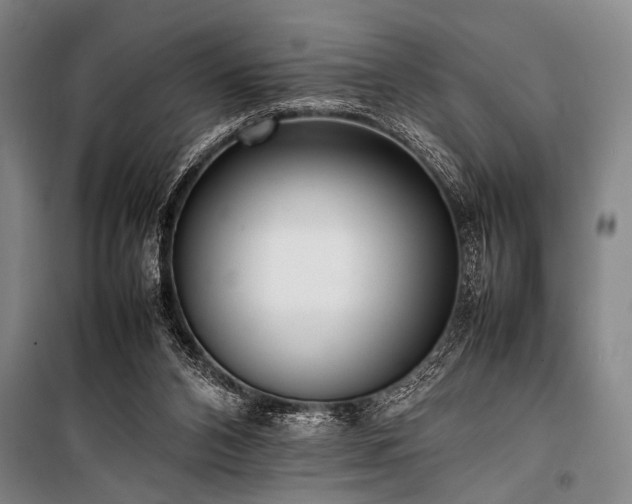 X0000101220112200806271457