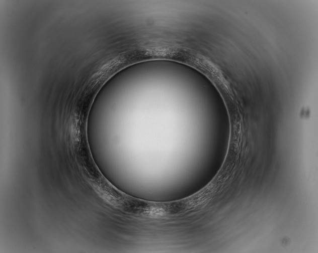 X0000101220114200806271457
