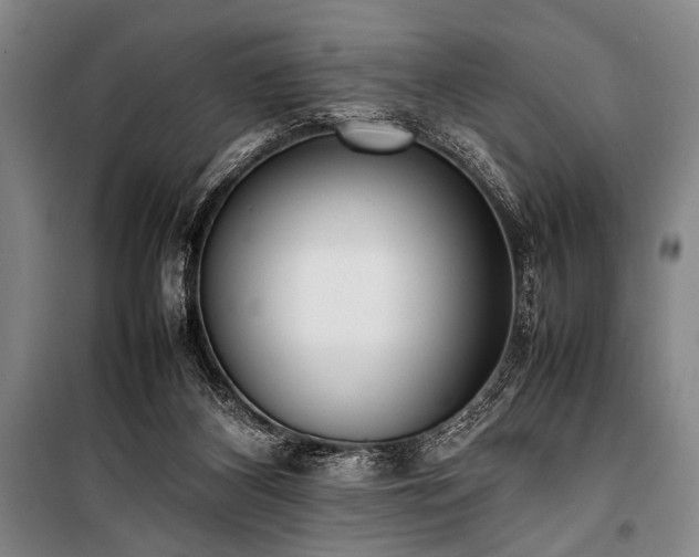 X0000101220116200806271457