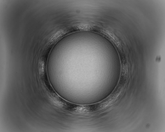X0000101220117200806271457